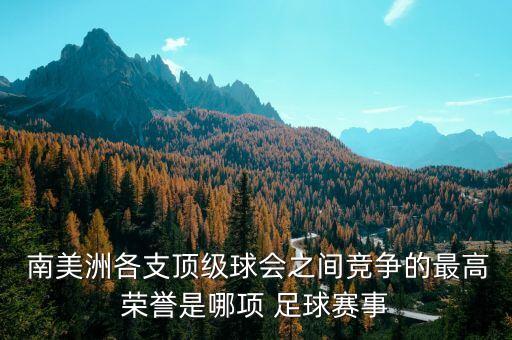  南美洲各支頂級球會之間競爭的最高榮譽(yù)是哪項(xiàng) 足球賽事