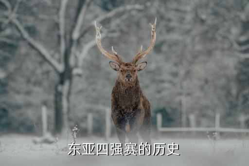東亞四強賽的歷史