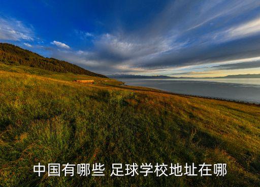 中國有哪些 足球?qū)W校地址在哪