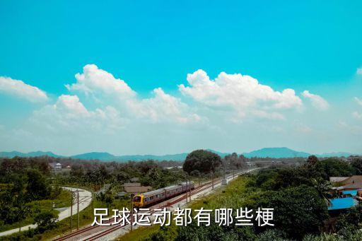 中國足球搞笑出線評(píng)論,2002年中國足球出線