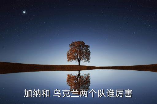 加納和 烏克蘭兩個隊(duì)誰厲害