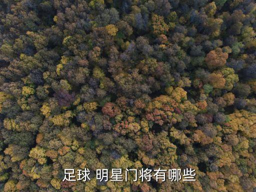  足球 明星門(mén)將有哪些