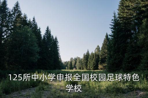 125所中小學(xué)申報全國校園足球特色學(xué)校