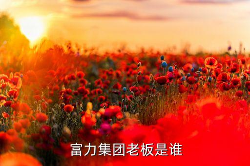 富力足球俱樂(lè)部收入,廣州富力足球俱樂(lè)部有限公司