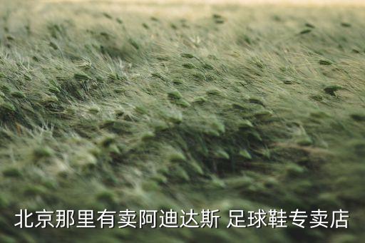 北京那里有賣(mài)阿迪達(dá)斯 足球鞋專賣(mài)店