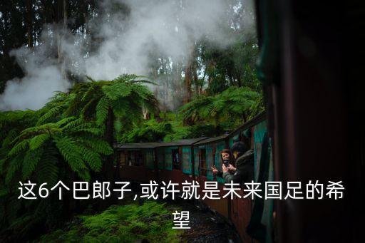 新疆雪豹足球隊預(yù)備隊
