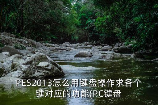 PES2013怎么用鍵盤操作求各個鍵對應(yīng)的功能(PC鍵盤