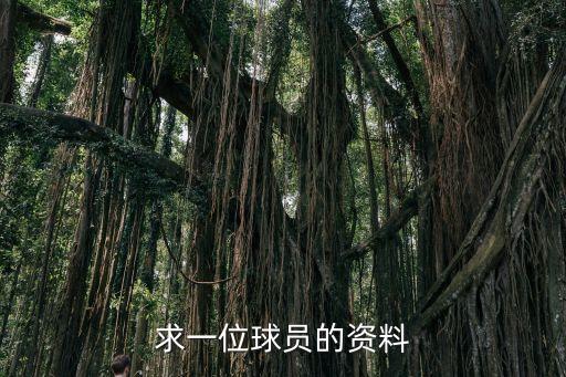 荷蘭足球23號(hào),阿根廷和荷蘭足球誰強(qiáng)