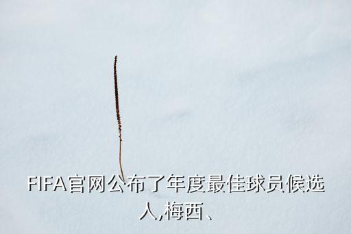 FIFA官網(wǎng)公布了年度最佳球員候選人,梅西、