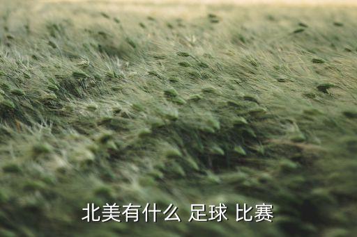 美國職業(yè)足球大聯(lián)盟比賽時(shí)間,美國足球大聯(lián)盟積分榜ds