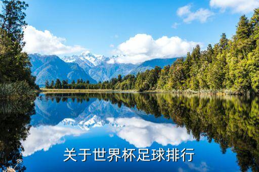 關于世界杯足球排行
