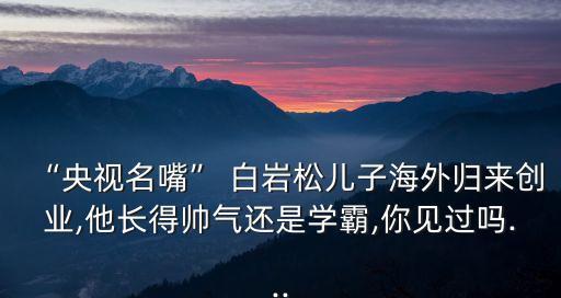 “央視名嘴” 白巖松兒子海外歸來(lái)創(chuàng)業(yè),他長(zhǎng)得帥氣還是學(xué)霸,你見過嗎...