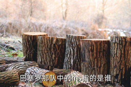 巴塞羅那隊(duì)中的ms指的是誰(shuí)