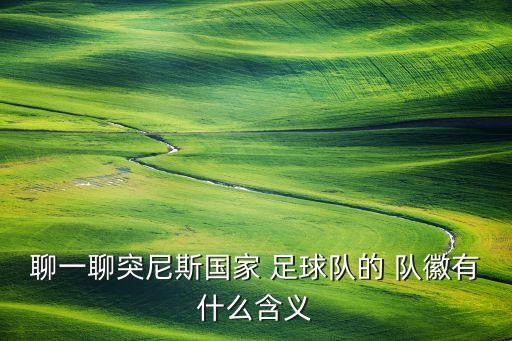 n隊(duì)徽足球,足球隊(duì)徽logo設(shè)計(jì)免費(fèi)