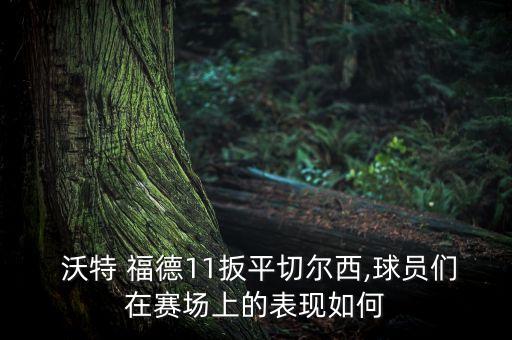  沃特 福德11扳平切爾西,球員們?cè)谫悎?chǎng)上的表現(xiàn)如何