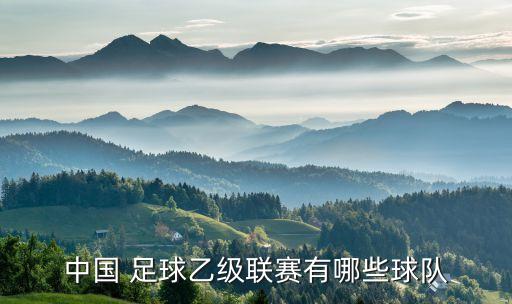 中國(guó) 足球乙級(jí)聯(lián)賽有哪些球隊(duì)