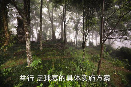 舉行 足球賽的具體實施方案