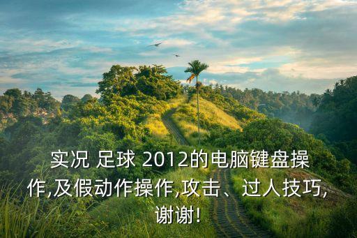  實(shí)況 足球 2012的電腦鍵盤操作,及假動(dòng)作操作,攻擊、過人技巧,謝謝!