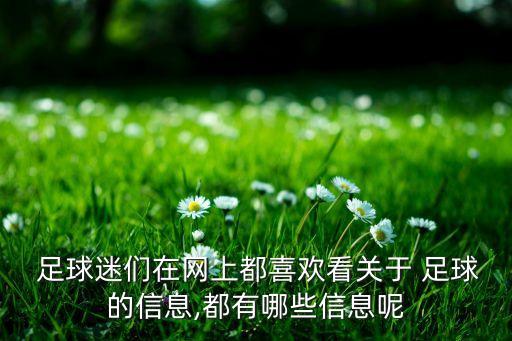  足球迷們在網(wǎng)上都喜歡看關(guān)于 足球的信息,都有哪些信息呢