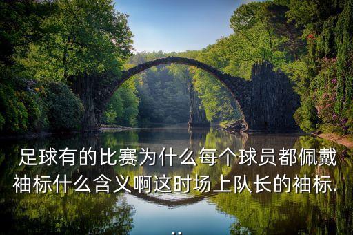  足球有的比賽為什么每個球員都佩戴袖標(biāo)什么含義啊這時場上隊長的袖標(biāo)...