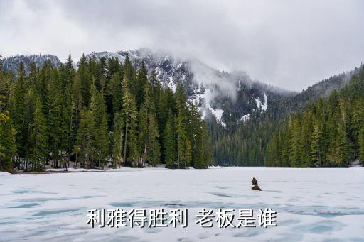 利雅得勝利 老板是誰(shuí)
