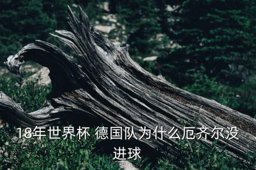 18年世界杯 德國(guó)隊(duì)為什么厄齊爾沒(méi)進(jìn)球
