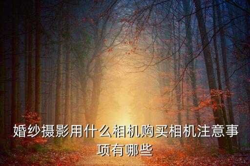  婚紗攝影用什么相機(jī)購(gòu)買(mǎi)相機(jī)注意事項(xiàng)有哪些