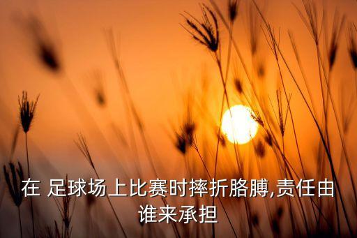 在 足球場(chǎng)上比賽時(shí)摔折胳膊,責(zé)任由誰來承擔(dān)