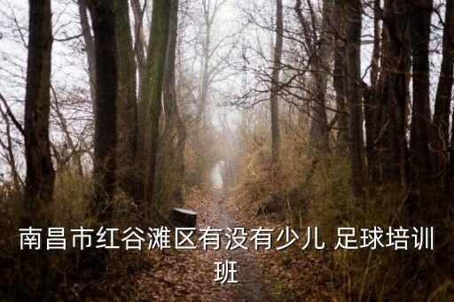 兒童足球俱樂部 長(zhǎng)春,長(zhǎng)春申華足球俱樂部名單