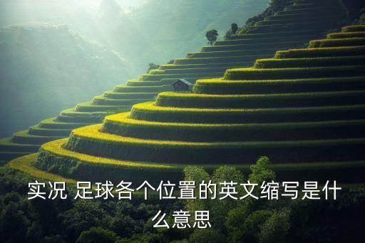 2018實況足球右后衛(wèi),實況足球右后衛(wèi)普卡推薦