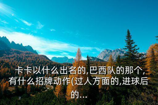  卡卡以什么出名的,巴西隊的那個,有什么招牌動作(過人方面的,進球后的...