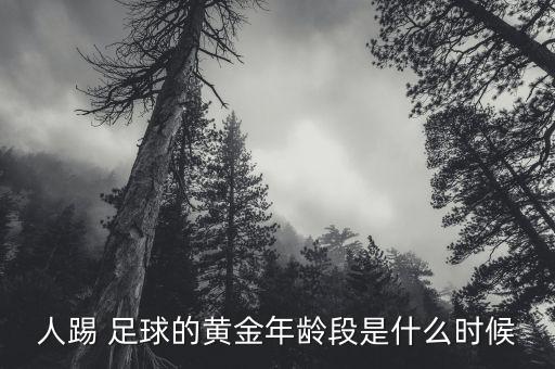 人踢 足球的黃金年齡段是什么時候
