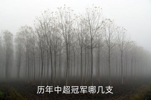 長(zhǎng)春亞泰足球奪冠是