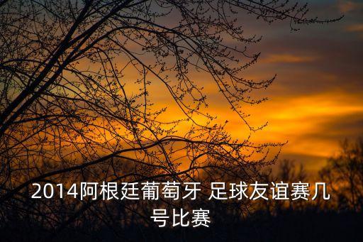 2014阿根廷葡萄牙 足球友誼賽幾號比賽
