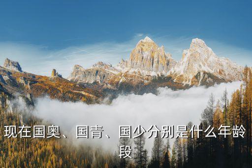 現(xiàn)在國奧、國青、國少分別是什么年齡段