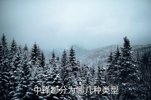 足球傳統(tǒng)中鋒有誰(shuí)