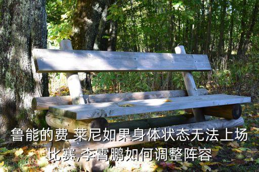 魯能的費(fèi) 萊尼如果身體狀態(tài)無法上場比賽,李霄鵬如何調(diào)整陣容