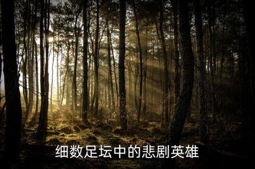足球場(chǎng)十大斷腿,中國(guó)未來(lái)十大專業(yè)足球場(chǎng)