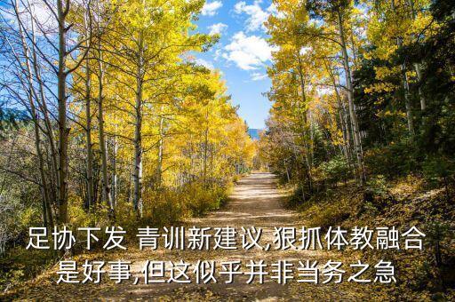 足球協(xié)會青訓介紹,深圳足球協(xié)會青訓是市隊嗎