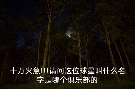 十萬火急!!!請問這位球星叫什么名字是哪個(gè)俱樂部的