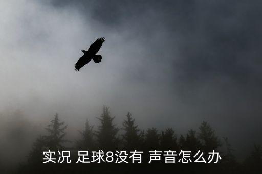 實(shí)況 足球8沒有 聲音怎么辦