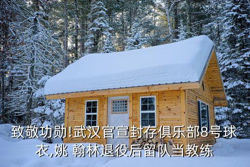 致敬功勛!武漢官宣封存俱樂部8號(hào)球衣,姚 翰林退役后留隊(duì)當(dāng)教練