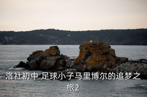 洛社初中 足球小子馬里博爾的追夢(mèng)之旅2