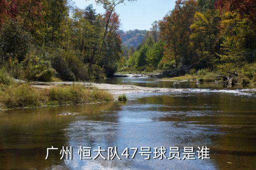 恒大足球?qū)W校精英隊,廣東清遠(yuǎn)恒大足球?qū)W校