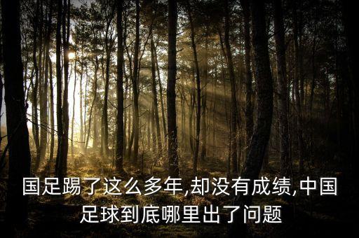 國(guó)足踢了這么多年,卻沒有成績(jī),中國(guó) 足球到底哪里出了問題