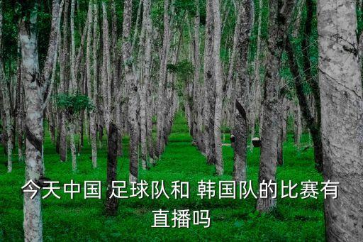 今天中國 足球隊和 韓國隊的比賽有直播嗎
