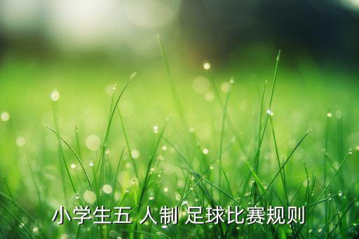 5人制足球射門(mén),足球射門(mén)最高時(shí)速