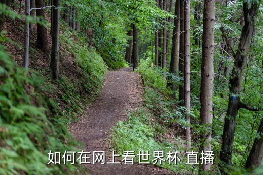 如何在網上看世界杯 直播