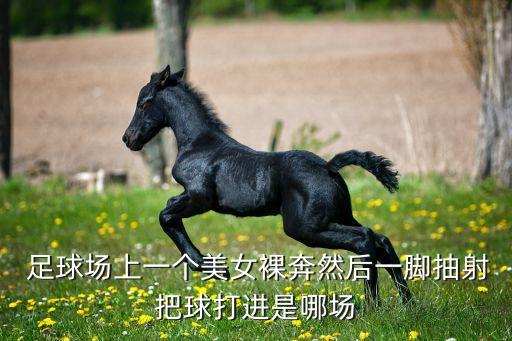  足球場上一個美女裸奔然后一腳抽射把球打進是哪場