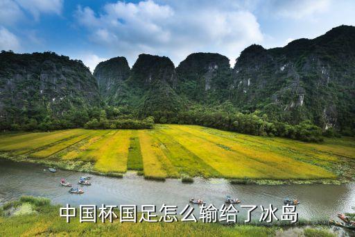 中國杯國足怎么輸給了冰島